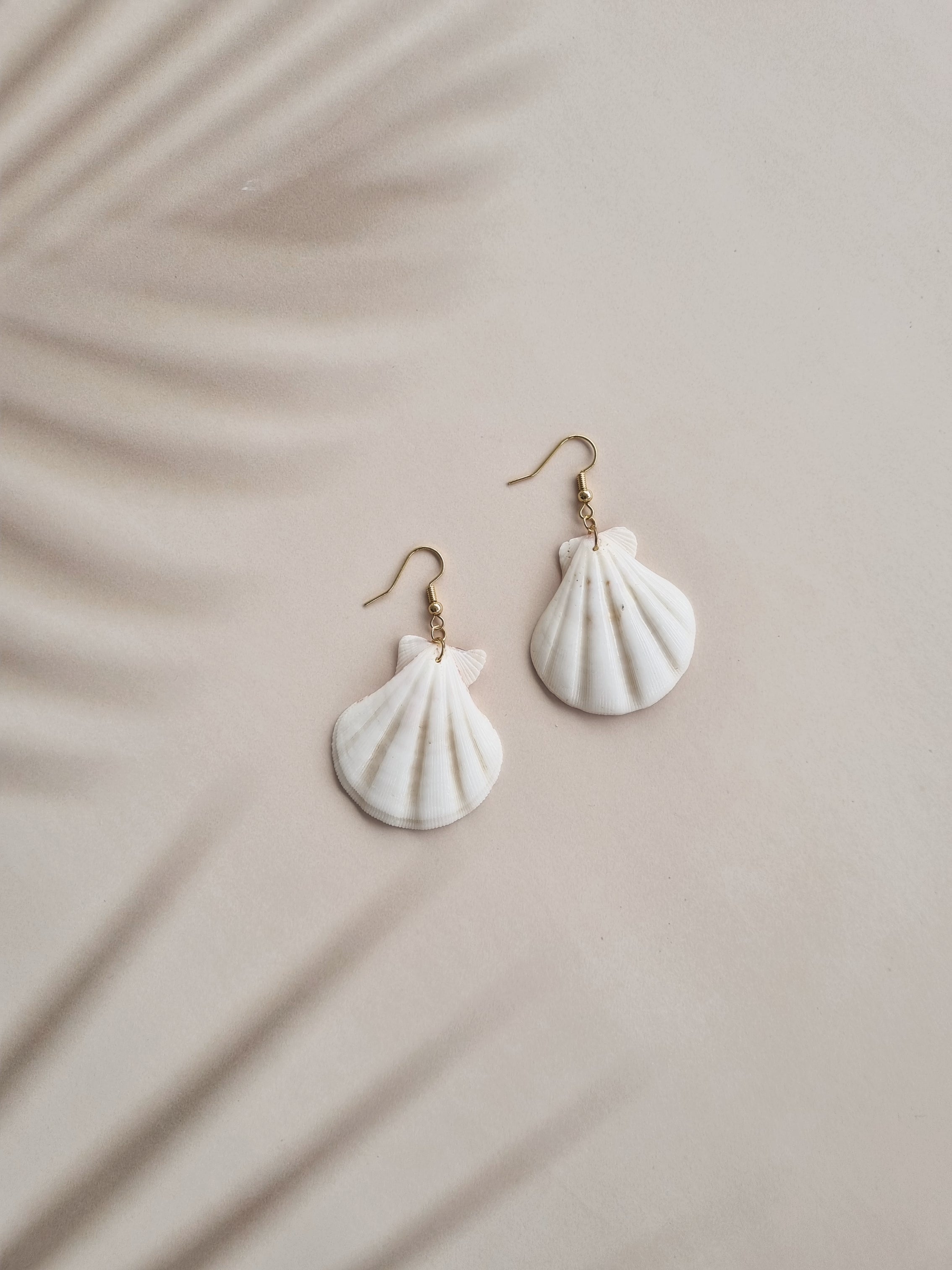 Scallop shell store earrings